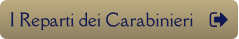 I Reparti dei Carabinieri