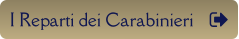 I Reparti dei Carabinieri